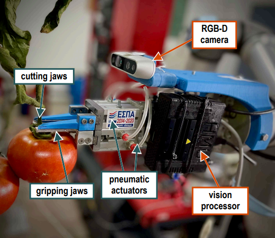 Development of a tomato harvesting robot: Peduncle recognition and approaching