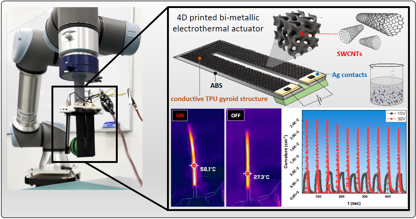 High-performance 4D printed ABS/ conductive TPU electrothermal actuator devices with SWCNT segregated structures: A gripper demonstrator towards soft robotics applications