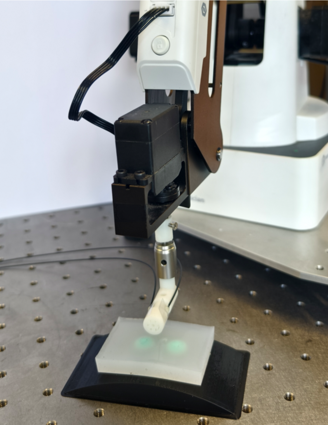 Flexible Sensor Foil Based on Polymer Optical Waveguide for Haptic Assessment