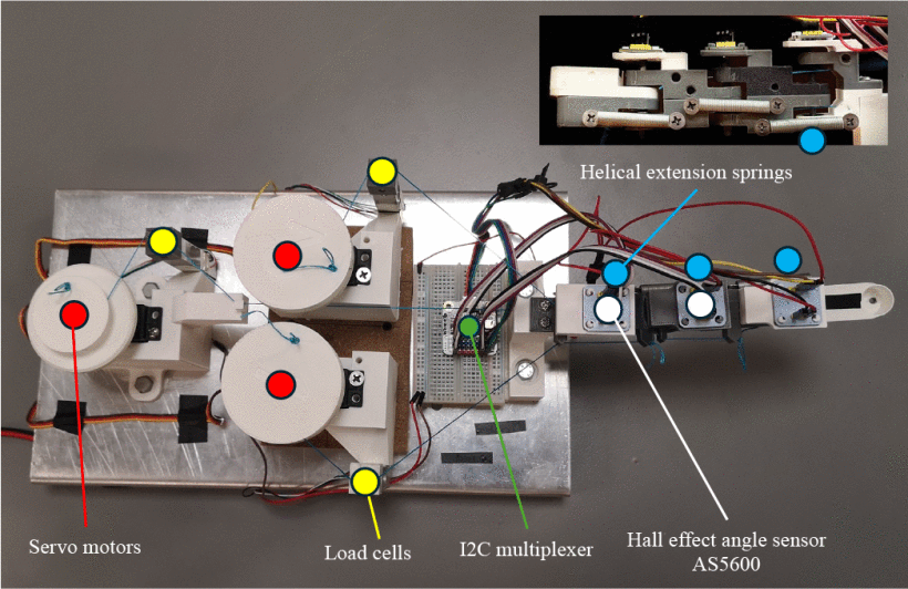 A Model Based Controller for Tendon-Driven Robotic Fingers